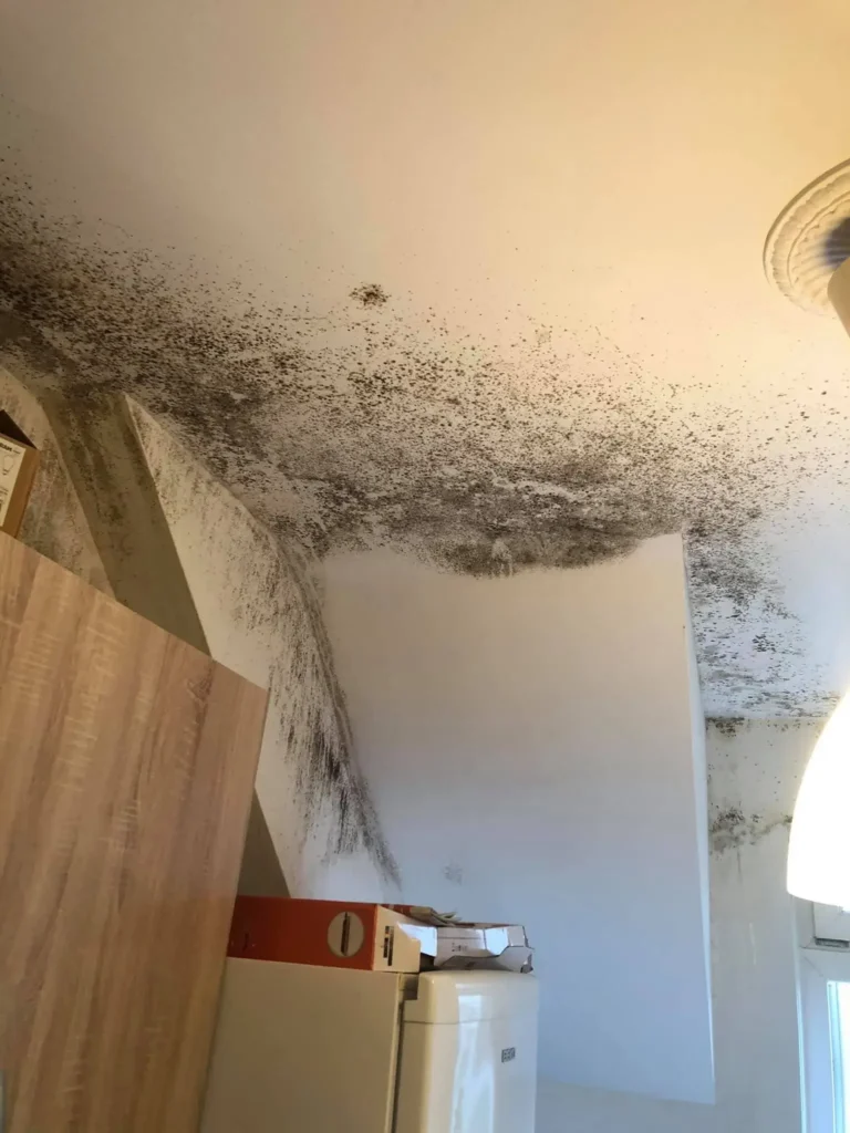Angle de pièce avec traces de condensation sur les murs, visibles par des auréoles d’humidité et décolorations.