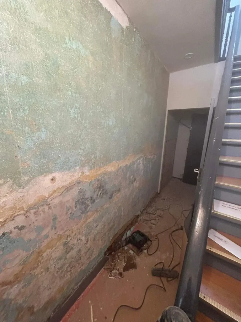 Travail en cours sur un mur intérieur humide, préparation de la surface avec nettoyage et application d’un traitement anti-humidité.