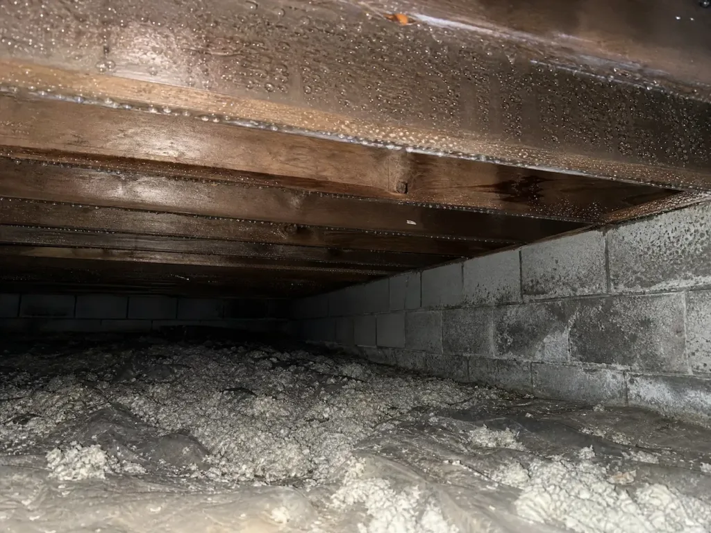 vide sanitaire humide avec poutre en bois et sol humide